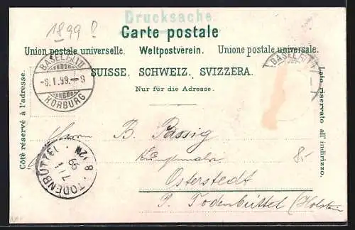 Lithographie Geneve, Vue generale, Rive Gauche, Rue du Mont Blanc, Monument national