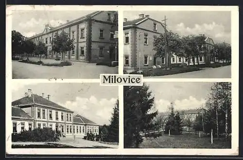 AK Milowitz / Milovice, Ansicht vom Rathaus, Strassenpartie