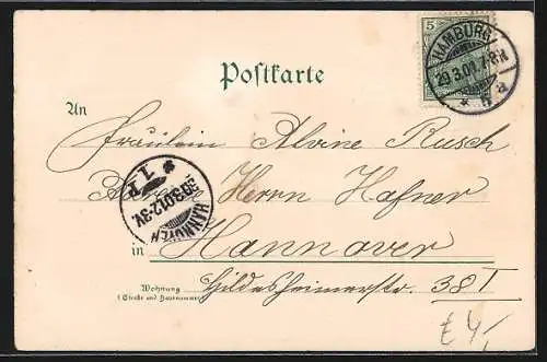 Lithographie Hamburg-Neustadt, der Alte Jungfernstieg, Dampfschiffe