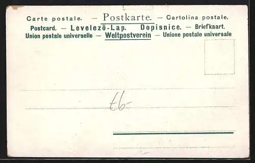 Lithographie Hamburg-Neustadt, Alsterarkaden-Reesendammbrücke, Alter Jungfernstieg u. neuer Alsterpavillon, Dampfer