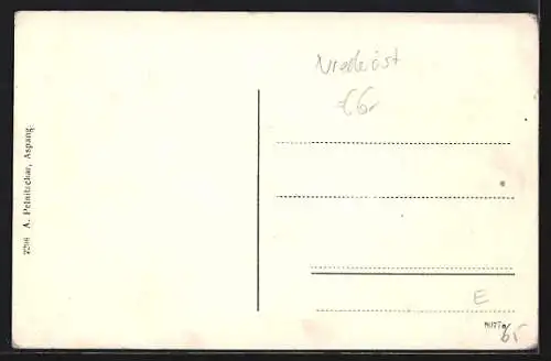 AK Aspang /N.-Ö., Ortsansicht mit Bergpanorama