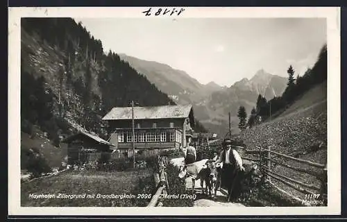 AK Mayrhofen, Zillergrund mit Brandbergkolm