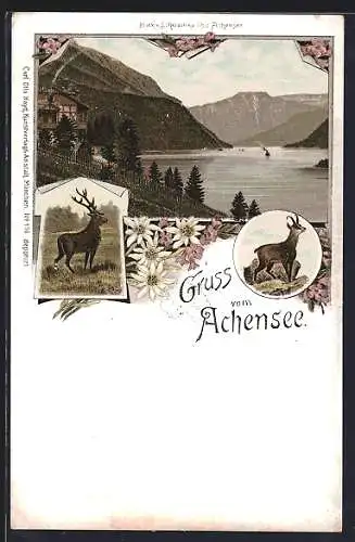 Lithographie Achensee, Blick über den Bergsee, Gämse und Hirsch