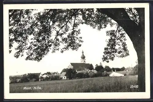 AK Mank /N. Oe, Ortspartie mit Kirche