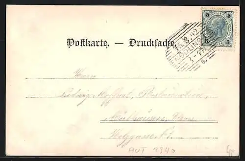 AK Mödling, Teilansicht mit Kirche vom Frauensteinberg aus