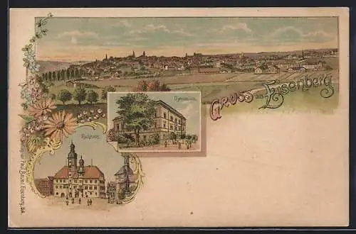 Lithographie Eisenberg / Thür., Rathaus, Gymnasium, Ortsansicht