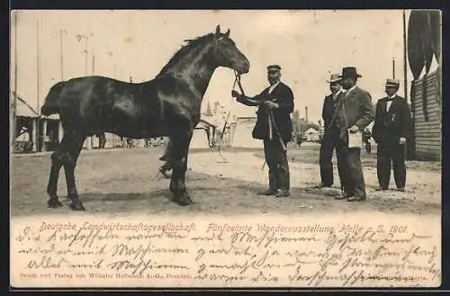 AK Halle a. S., 15. Wander-Ausstellung 1901, Deutsche Landwirtschaftsgesellschaft
