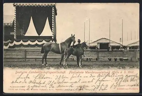 AK Halle a. S., 15. Wander-Ausstellung 1901, Deutsche Landwirtschaftsgesellschaft