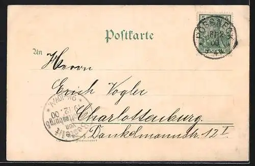 Lithographie Ranis, Brandenstein, Burg, Rathaus