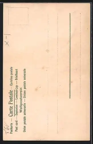 Künstler-AK Gardone-Riviera, Panorama