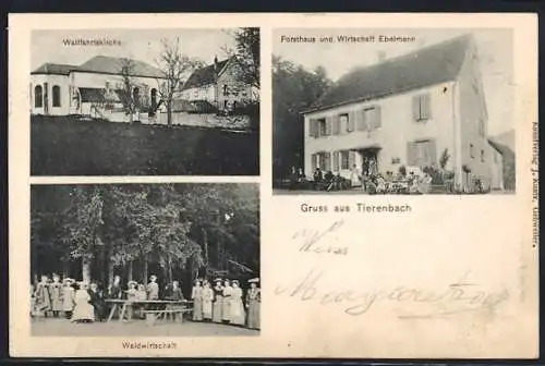 AK Tierenbach, Forsthaus und Gasthof Ebelmann, Wallfahrtskirche