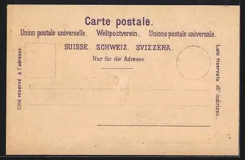 Präge-AK Bern, Sängerfest 1899, Münzen, Bär mit Fahne, Festhalle
