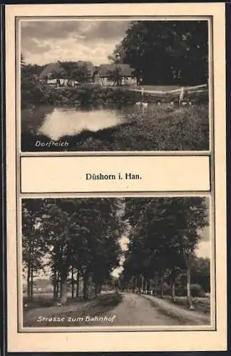AK Düshorn, Strasse zum Bahnhof, Dorfteich