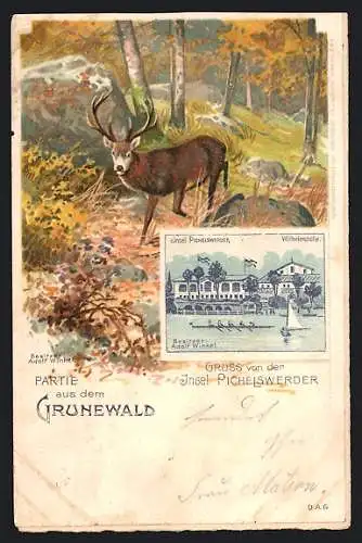 Lithographie Grunewald, Insel Pichelswerder und Hirsch im Wald