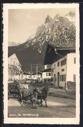 AK Mittenwald, Strassenpartie mit Ochsenwagen