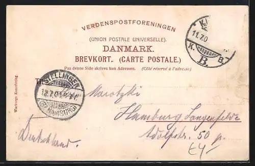 AK Kjobenhavn, Amagertorv, Strassenansicht