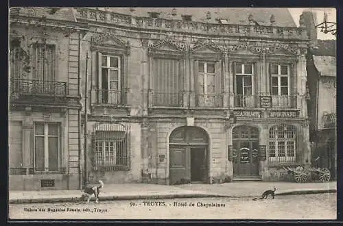 AK Troyes, Hôtel de Chapelaines, deux chiens, Pharmacie Dunand