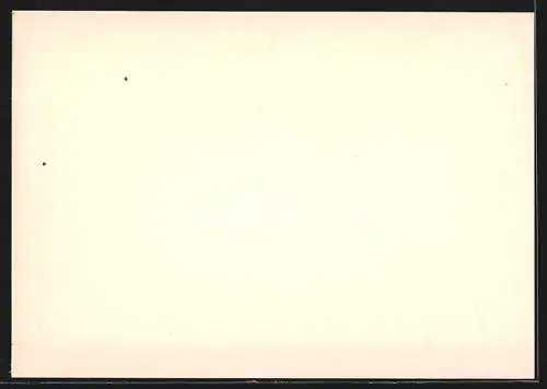 AK Berlin, Wahl des Bundespräsidenten 1954, Brandenburger Tor, gedruckt in brauner Farbe