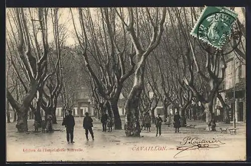 AK Cavaillon, Promenade sous les platanes en hiver