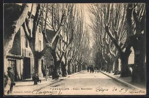 AK Cavaillon, Cours Bournissac bordé d`arbres majestueux