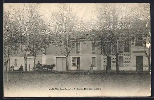 AK Violès, Avenue des Croisières avec une charrette à cheval et arbres en ligne