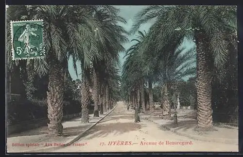AK Hyères, Avenue de Beauregard avec ses palmiers majestueux