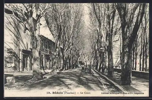 AK Bédoin, Le Cours avec allée de platanes en perspective