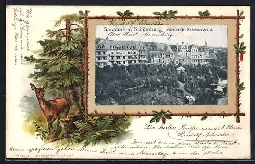 Passepartout-Lithographie Schömberg /Schwarzwald, Sanatorium mit Anlagen aus der Vogelschau, Reh im Wald