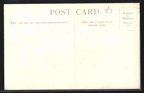 AK Union Castle Line Royal Mail Steamer Walmer Castle