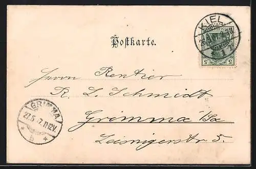 AK Dampfer Hollmann, Neue Dampfer-Compagnie