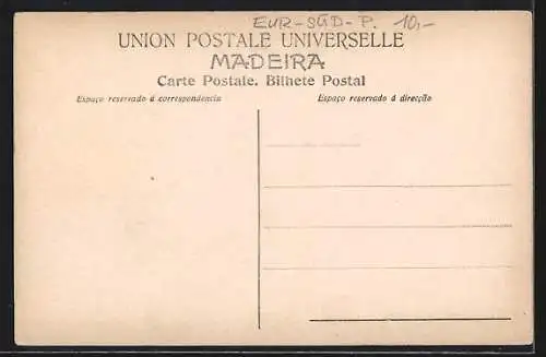 AK Madeira, Gesamtansicht