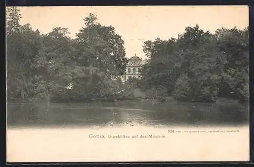 AK Gotha, Durchblick auf das Museum