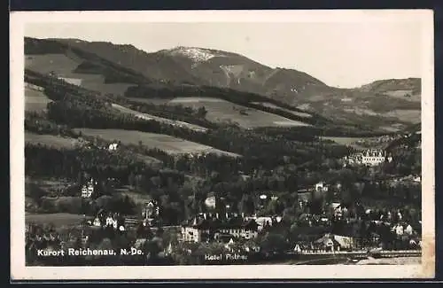 AK Reichenau /N.-Do., Teilansicht mit Feldern ud Bergpanorama