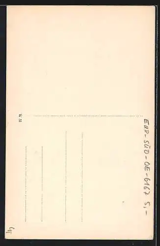 AK Neustift i. Stubai, Teilansicht mit hohem Burgstall