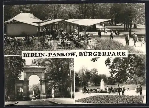 AK Berlin-Pankow, Bürgerpark, Besucher auf der Terrasse, Haupteingang, Springbrunnen