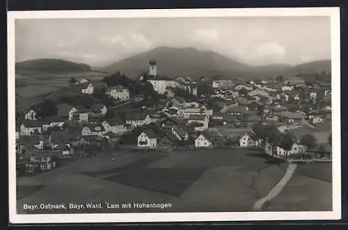 AK Lam /Bayr. Wald, Ort mit Hohenbogen im Hintergrund