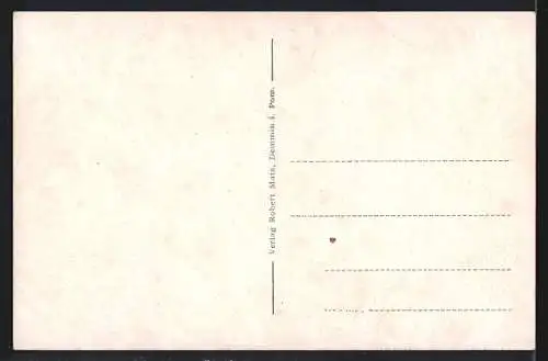 AK Demmin i /Pom., Ulanen-Denkmal