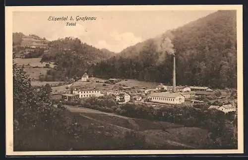 AK Elsenthal / Bayr. Wald, Panoramablick auf den Ort