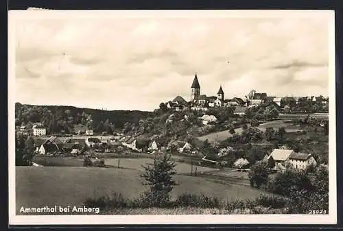 AK Ammerthal / Oberpfalz, Ortsansicht