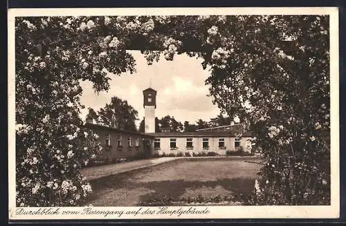 AK Friedrichsdorf i. W., Kurheim Senne I vom Rosengang aus