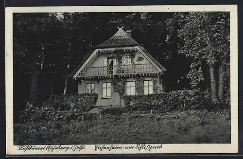 AK Ascheberg in Holst., Eichenheim am Schlosspark
