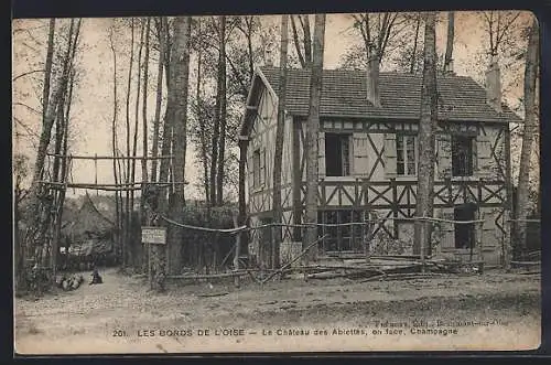 AK Bords de l`Oise, Le Château des Ablettes face à la Champagne