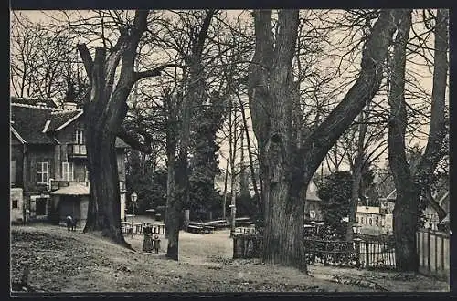 AK Montmorency, La Châtaigneraie avec arbres imposants et maison en arrière-plan