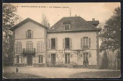 AK Montlignon, Le Château Larive