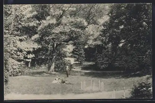 AK Varel / Oldenburg, Varelerwald mit rastenden Besuchern auf Wiese