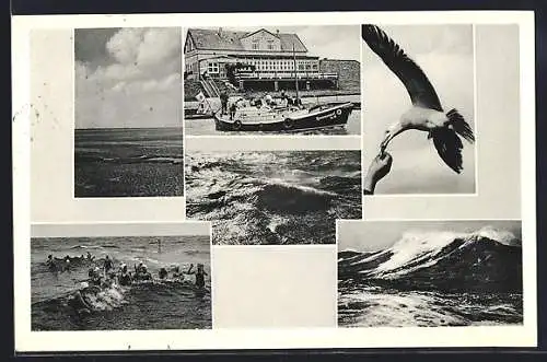 AK Schillig, Strand-Hotel, Segelboot mit Passagieren, Möwe, Badegäste und Wellengang