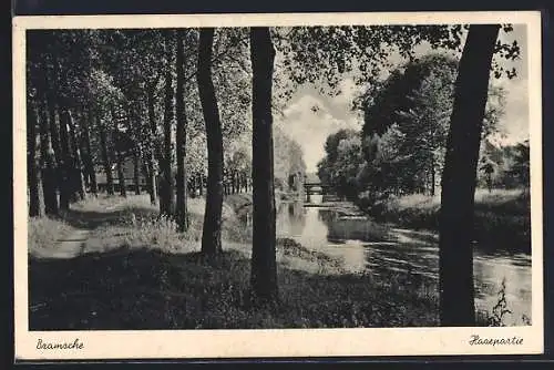 AK Bramsche, Hasepartie vom Ufer mit Flusspartie