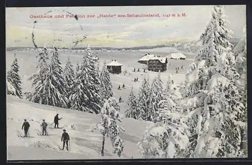 AK Schauinsland, Gasthaus und Pension zur Halde, verschneite Landschaft mit Langläufern