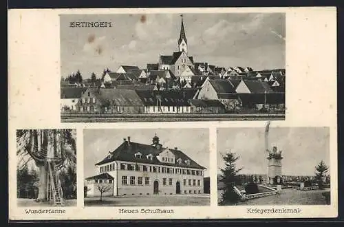 AK Ertingen, Neues Schulhaus, Kriegerdenkmal, Wundertanne, Ortsansicht