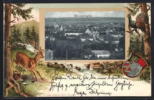 Passepartout-Lithographie Mindelheim, Totalansicht aus der Vogelschau, Waldpartie mit Reh u. Auerhahn, Wappen